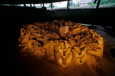 Mammoth jawbones from a bone hut, Mezhirich, Ukraine by Kenneth Garrett