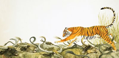 A Tiger Running Along the Backs of Buffalo by Kenneth Lilly
