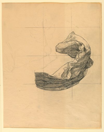 Study for 