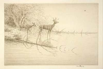 White Tails in the Morning by Kerr Eby