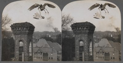 In Olden Times, if Folks Were Good, the Stork Would Bring a Baby Sweet and Fair, 1907 by Keystone View Company