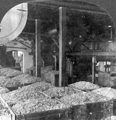 Making Paper from Rags, Holyoke, Massachusetts, USA, 20th Century by Keystone View Company