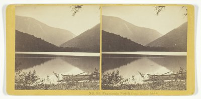 Franconia Notch from Echo Lake by Kilburn Brothers, BW Kilburn