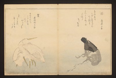 Cormorant and Heron by Kitagawa Utamaro