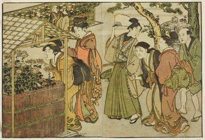 Display of Chrysanthemums, from the illustrated book "Picture Book: Flowers of the Four Seasons," vol. 2 by Kitagawa Utamaro