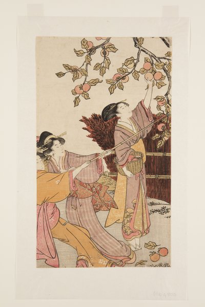 Gathering Persimmons by Kitagawa Utamaro
