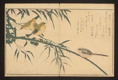 Long-tailed tit and white-eye by Kitagawa Utamaro