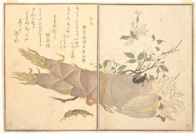 Mole Cricket (Kera); Earwig, (Hasami-mushi), from the Picture Book of Crawling Creatures (Ehon mushi erami) by Kitagawa Utamaro