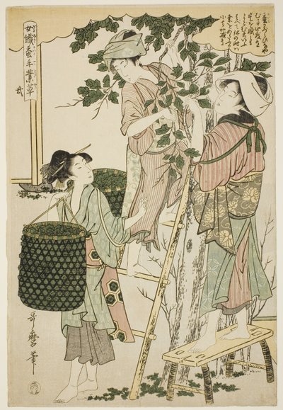 No. 2, from the series "Women Engaged in the Sericulture Industry" by Kitagawa Utamaro