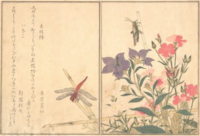 Red Dragonfly Akatonbo, Locust Inago..., 1788 by Kitagawa Utamaro