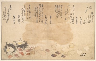 Shells under Water by Kitagawa Utamaro