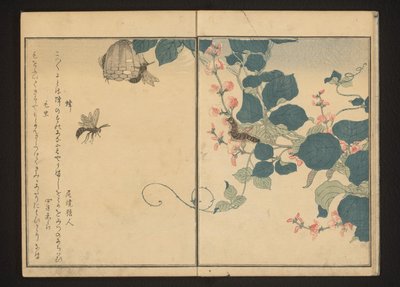 Wasps and Hairy Caterpillar on Arrowroot by Kitagawa Utamaro