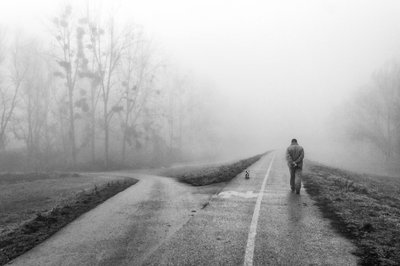 Misty Road Choices by Krunoslav Nevistic