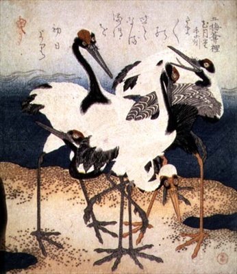 Five Cranes with White Feathers in Various Poses on a Spit of Sand, from Three Petals series, c.1816 by Kubo Shumman
