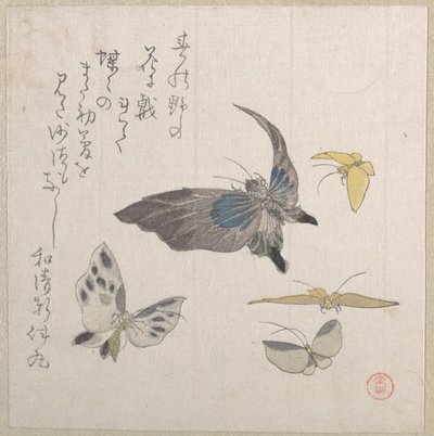 Butterflies by Kubo Shunman
