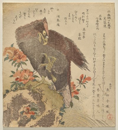 Eagle with an upraised claw on a rock by an azalea bush by Kubo Shunman