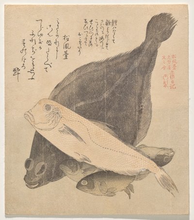 Flounder, Tilefish, and Three Crucian Carp, from the Series Tosa Diary (Tosa Nikki) by Kubo Shunman