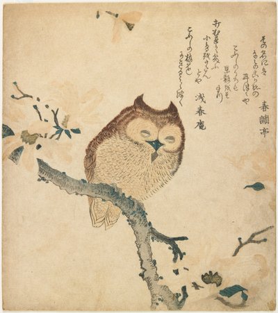 Horned Owl on Flowering Branch by Kubo Shunman