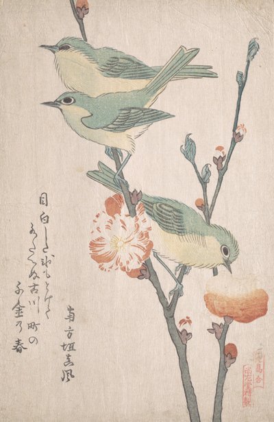 Japanese White-eyes on a Branch of Peach Tree by Kubo Shunman