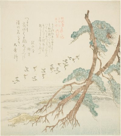 Pine Trees, from the series "Tosa Diary for the Shofudai, Hisakataya, and Bunbunsha" by Kubo Shunman
