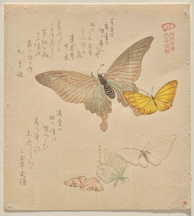 The Painting Manual of Flock of Butterflies (Guncho? Gafu) by Kubo Shunman