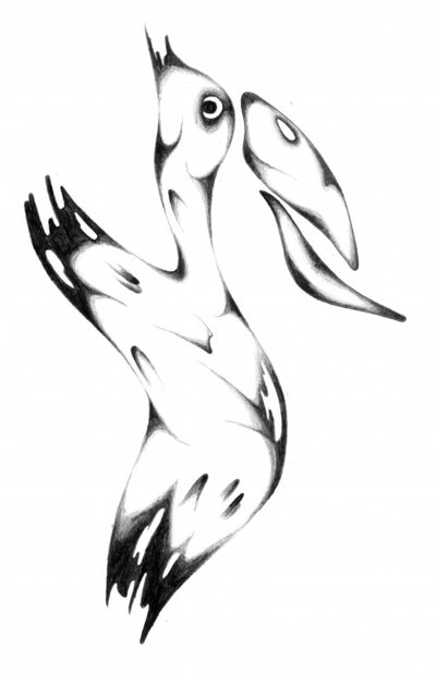 Abstract Pelican Drawing by Kulik