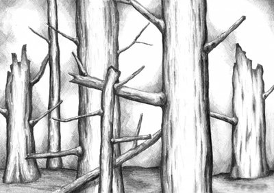 Barren Forest Drawing by Kulik
