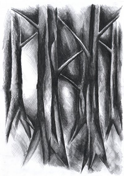 Dark Mysterious Forest by Kulik