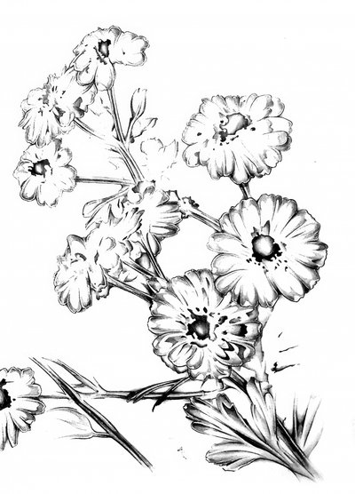 Elegant Floral Drawing by Kulik