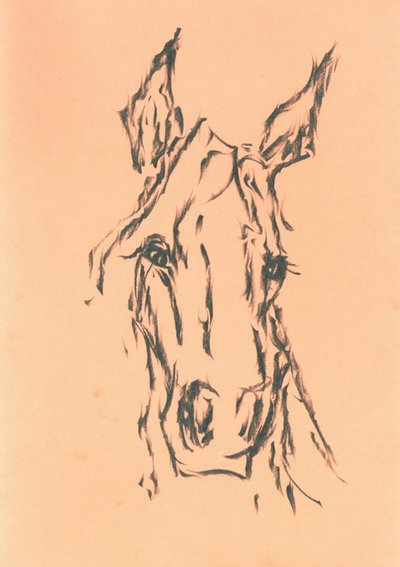 Elegant Horse Head Sketch by Kulik