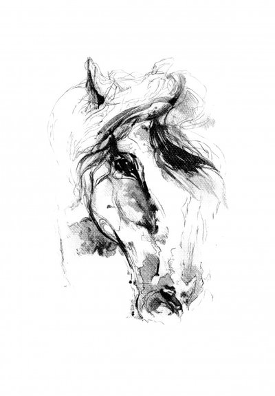 Expressive Horse Sketch by Kulik