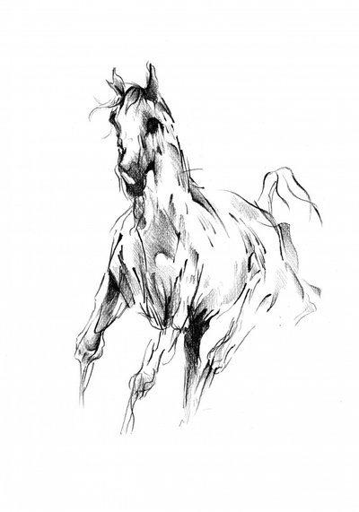 Galloping Horse Sketch by Kulik