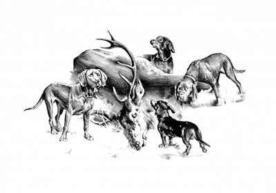 Hunting Dogs and Stag by Kulik