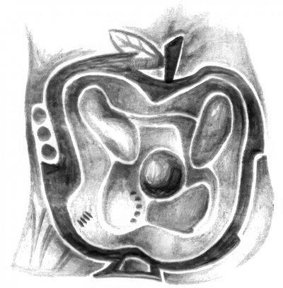 Intricate Apple Maze by Kulik