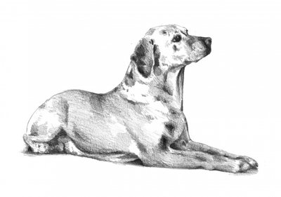 Lying Spotted Dog by Kulik