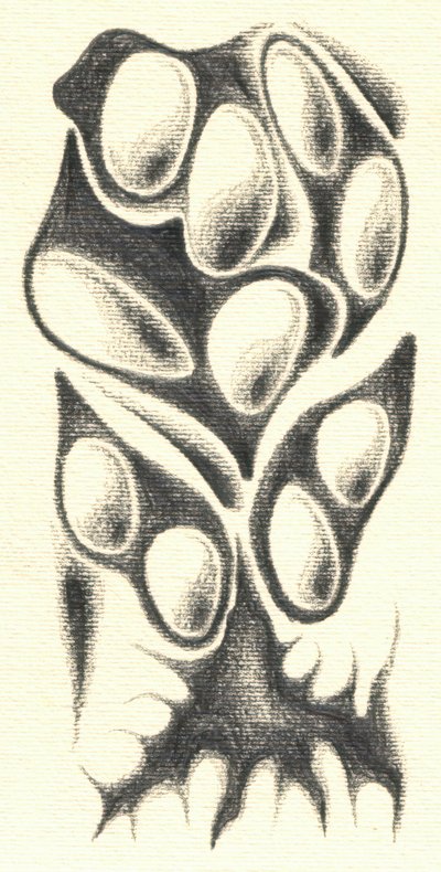 Mysterious Organic Form by Kulik