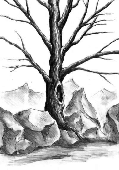 Mystical Mountain Tree by Kulik