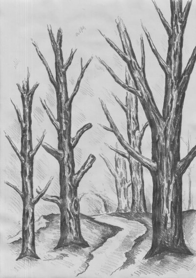 Path Through Stark Trees by Kulik