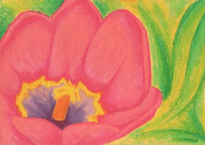 Pink Tulip Blossom by Kulik