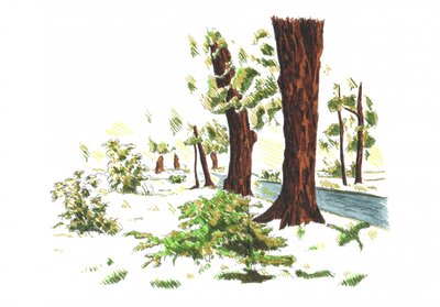 Quiet Winter Woods by Kulik