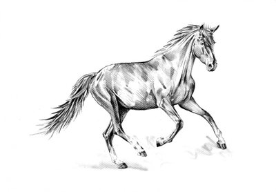 Spirited Horse Gallop by Kulik