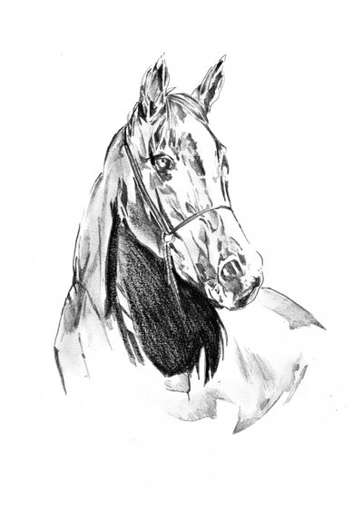Spirited Horse Portrait by Kulik