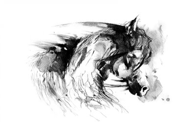 Wild Horse Sketch by Kulik