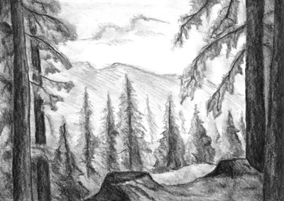 Wild Mountain Forest by Kulik