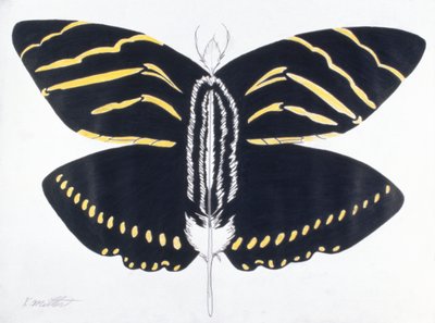 Feathered Butterfly, 2004 by Kurtis L. Miller