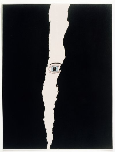 Under Surveillance, 2006 by Kurtis L. Miller