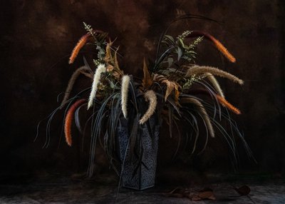 Moody Dried Botanicals by LM Meng
