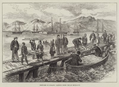 Sketches in Iceland, Landing Dried Cod at Reykjavik by L. Huard