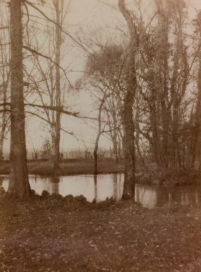 Album of the First World War in Friuli-Venezia Giulia: the pond in the park of Villa Brazza, Hospital of war n. 17, Soleschiano Manzano by L. Verdiani