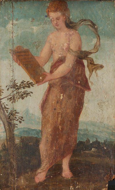 Woman with Text Panel by Lambert Sustris